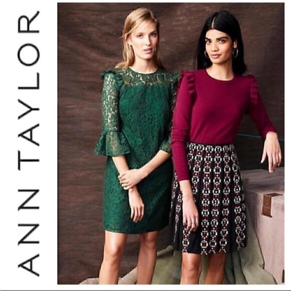 Ann Taylor beautiful Embroidered Pleated A Line Skirt - Picture 7 of 7